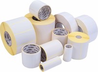 Zebra Z-Perform 1000T Economy label 102 x 127 mm